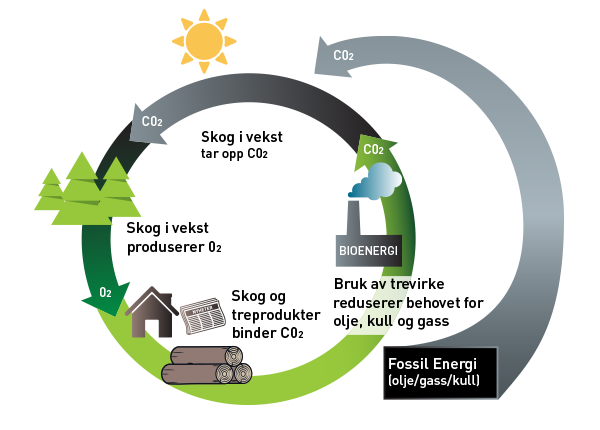 illustrasjon-bioenergi-jakhelln